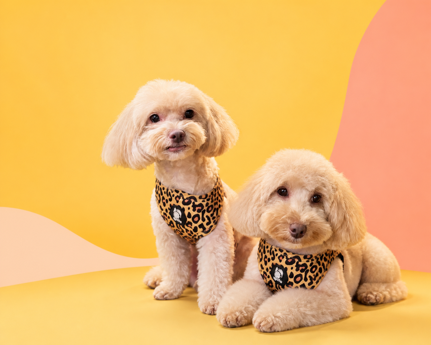 Превью сайта ветеринарной клиники